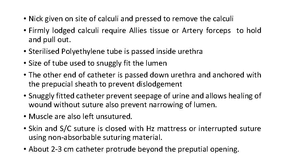  • Nick given on site of calculi and pressed to remove the calculi