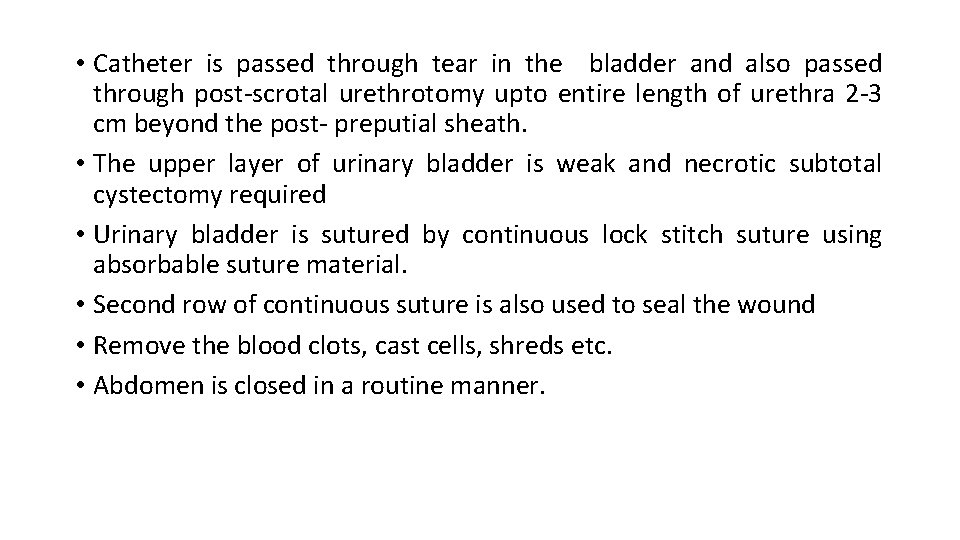  • Catheter is passed through tear in the bladder and also passed through