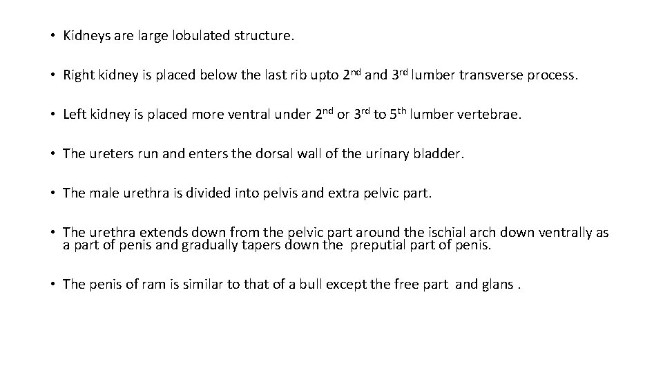  • Kidneys are large lobulated structure. • Right kidney is placed below the