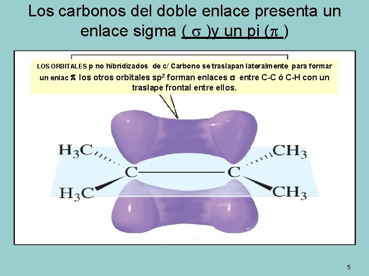Los carbonos del doble enlace presenta un enlace sigma ( )y un pi (
