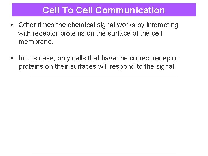 Cell To Cell Communication • Other times the chemical signal works by interacting with