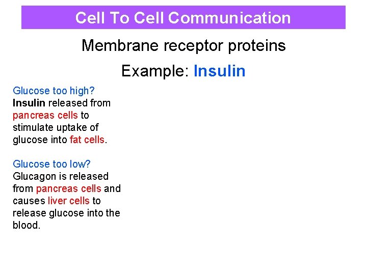 Cell To Cell Communication Membrane receptor proteins Example: Insulin Glucose too high? Insulin released