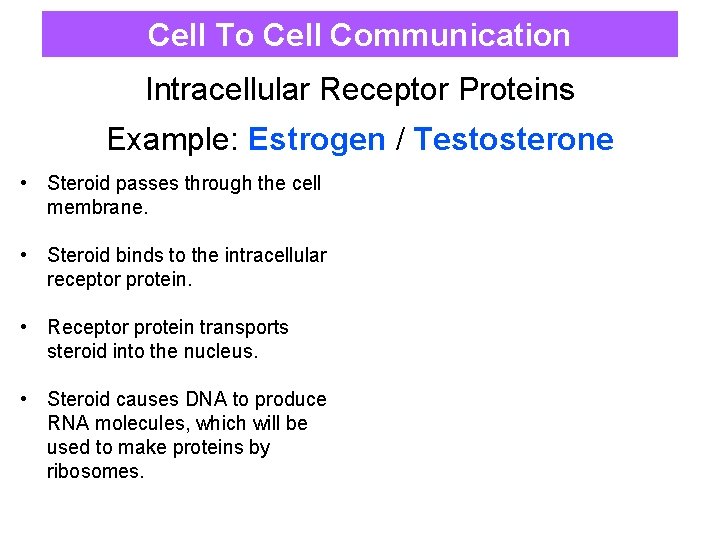 Cell To Cell Communication Intracellular Receptor Proteins Example: Estrogen / Testosterone • Steroid passes