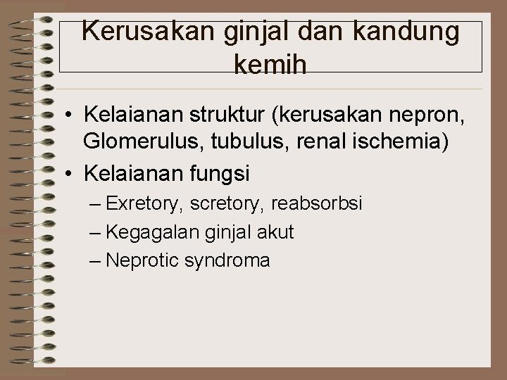 Kerusakan ginjal dan kandung kemih • Kelaianan struktur (kerusakan nepron, Glomerulus, tubulus, renal ischemia)