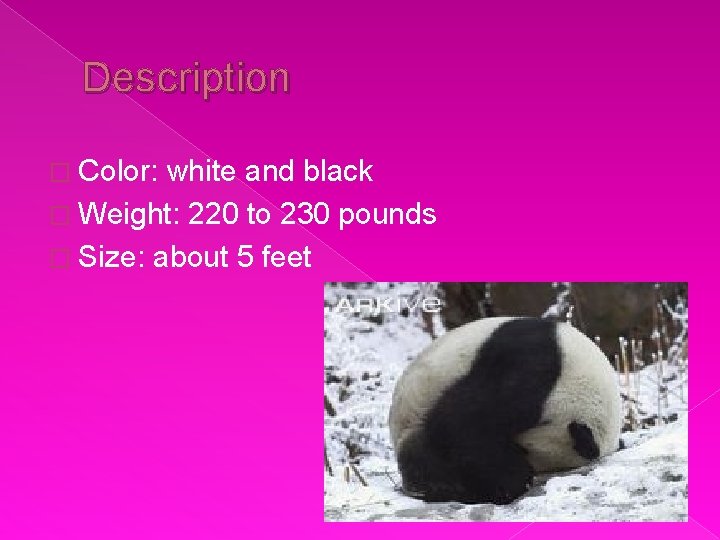 Description � Color: white and black � Weight: 220 to 230 pounds � Size: