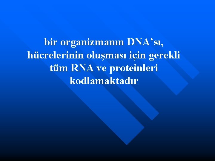 bir organizmanın DNA’sı, hücrelerinin oluşması için gerekli tüm RNA ve proteinleri kodlamaktadır 