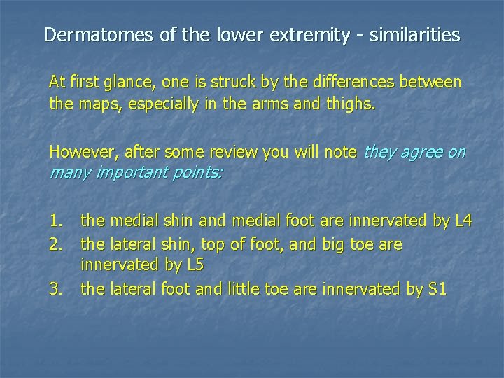 Dermatomes of the lower extremity - similarities At first glance, one is struck by
