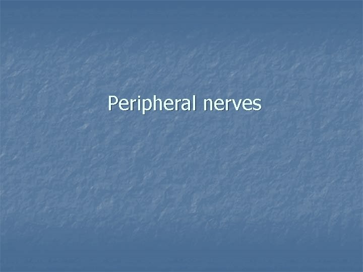 Peripheral nerves 