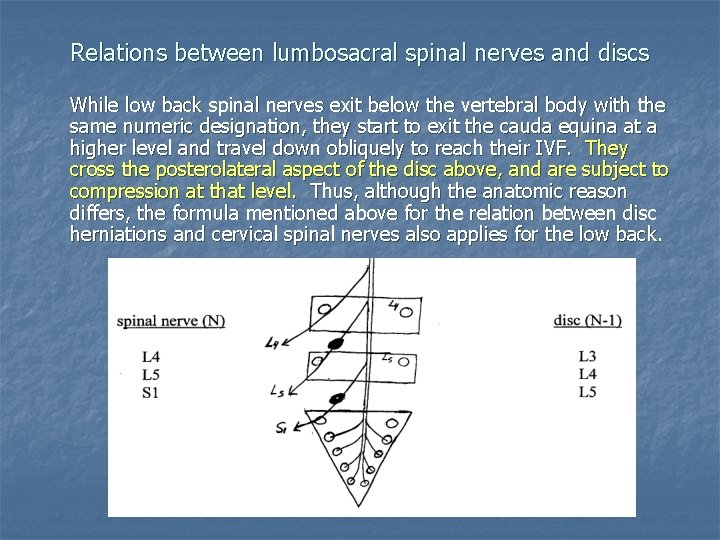 Relations between lumbosacral spinal nerves and discs While low back spinal nerves exit below