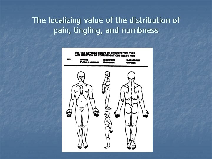 The localizing value of the distribution of pain, tingling, and numbness 