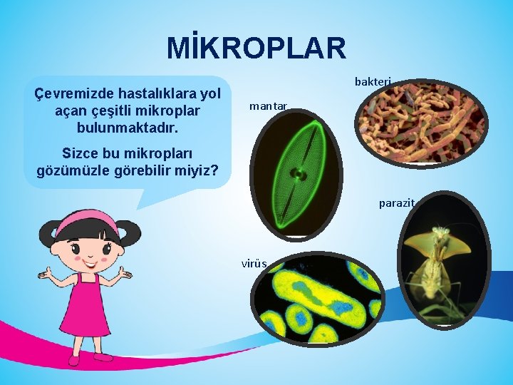 MİKROPLAR Çevremizde hastalıklara yol açan çeşitli mikroplar bulunmaktadır. bakteri mantar Sizce bu mikropları gözümüzle