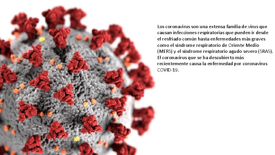 Los coronavirus son una extensa familia de virus que causan infecciones respiratorias que pueden