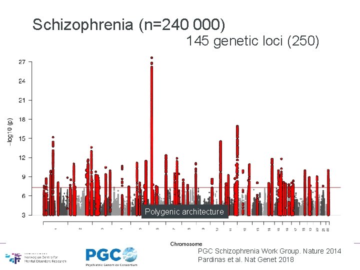 Schizophrenia (n=240 000) 145 genetic loci (250) Polygenic architecture PGC Schizophrenia Work Group. Nature