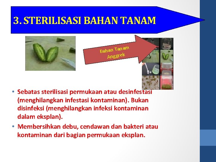 3. STERILISASI BAHAN TANAM nam Bahan Ta Anggrek • Sebatas sterilisasi permukaan atau desinfestasi