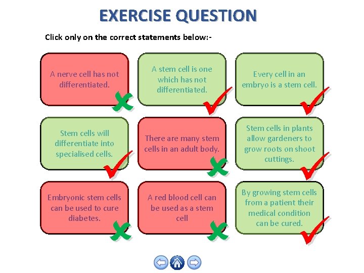 EXERCISE QUESTION Click only on the correct statements below: A stem cell is one
