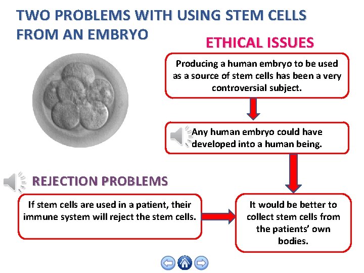 TWO PROBLEMS WITH USING STEM CELLS FROM AN EMBRYO ETHICAL ISSUES Producing a human