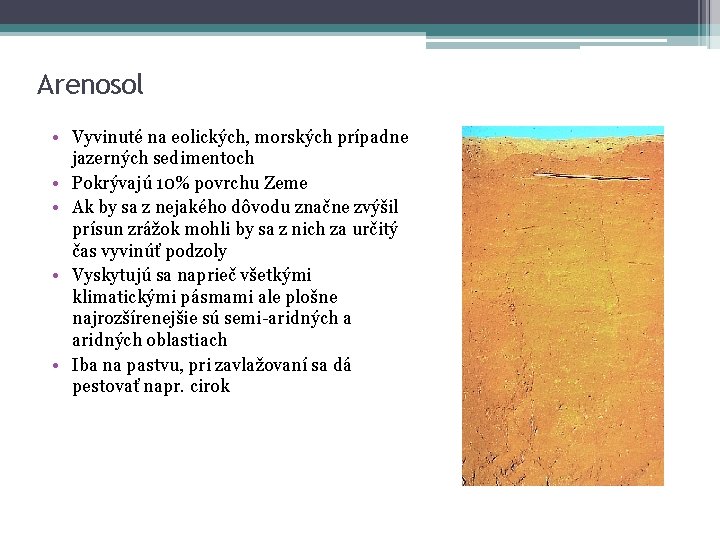Arenosol • Vyvinuté na eolických, morských prípadne jazerných sedimentoch • Pokrývajú 10% povrchu Zeme