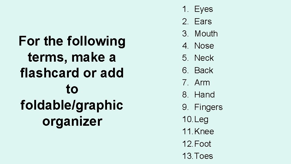 For the following terms, make a flashcard or add to foldable/graphic organizer 1. Eyes