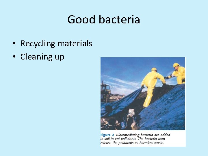 Good bacteria • Recycling materials • Cleaning up 