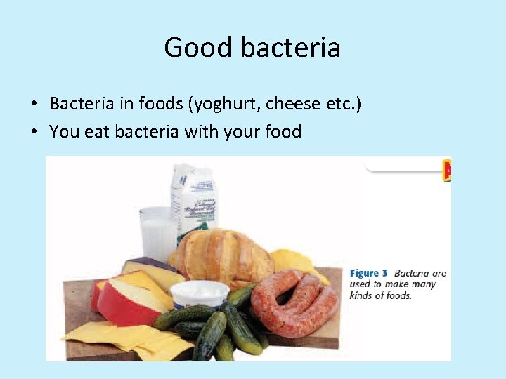 Good bacteria • Bacteria in foods (yoghurt, cheese etc. ) • You eat bacteria