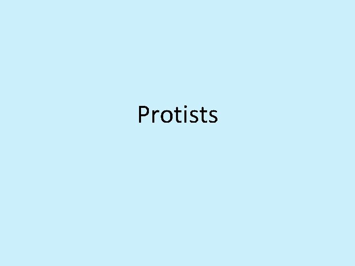 Protists 