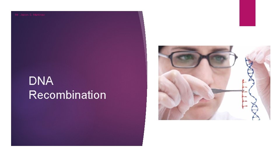 Mr. Jason S. Martinez DNA Recombination 