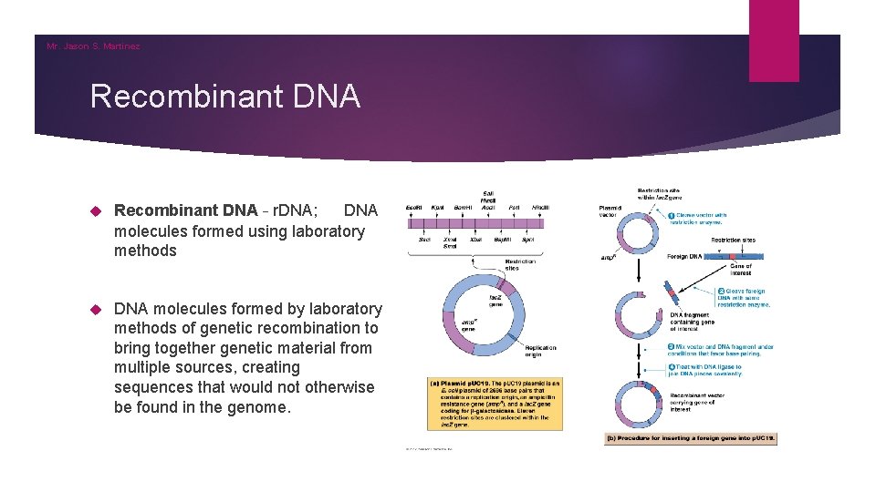 Mr. Jason S. Martinez Recombinant DNA – r. DNA; DNA molecules formed using laboratory