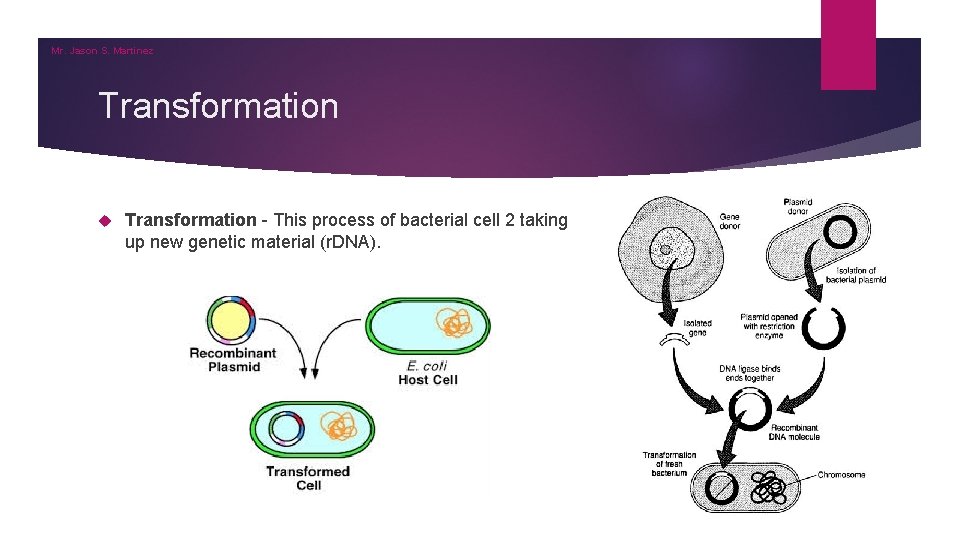 Mr. Jason S. Martinez Transformation - This process of bacterial cell 2 taking up