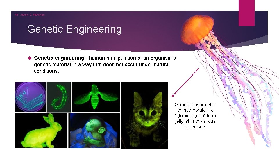 Mr. Jason S. Martinez Genetic Engineering Genetic engineering – human manipulation of an organism’s