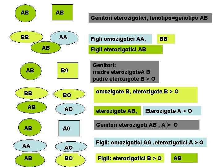 AB AB BB Genitori eterozigotici, fenotipo=genotipo AB AA AB AB BB AB AB AA