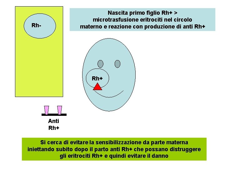 Nascita primo figlio Rh+ > microtrasfusione eritrociti nel circolo materno e reazione con produzione