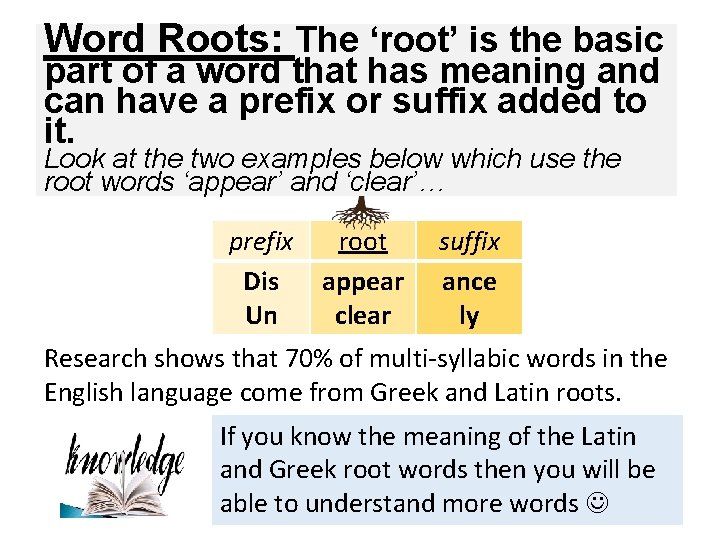 Word Roots: The ‘root’ is the basic part of a word that has meaning
