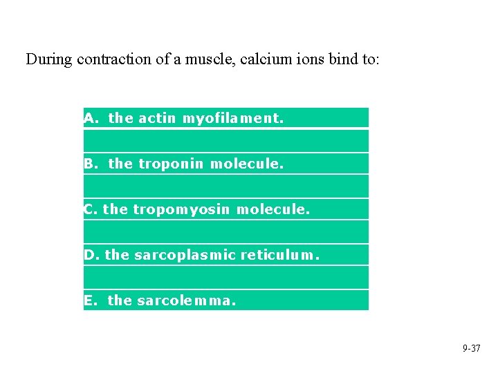 During contraction of a muscle, calcium ions bind to: A. the actin myofilament. B.