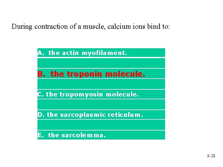 During contraction of a muscle, calcium ions bind to: A. the actin myofilament. B.