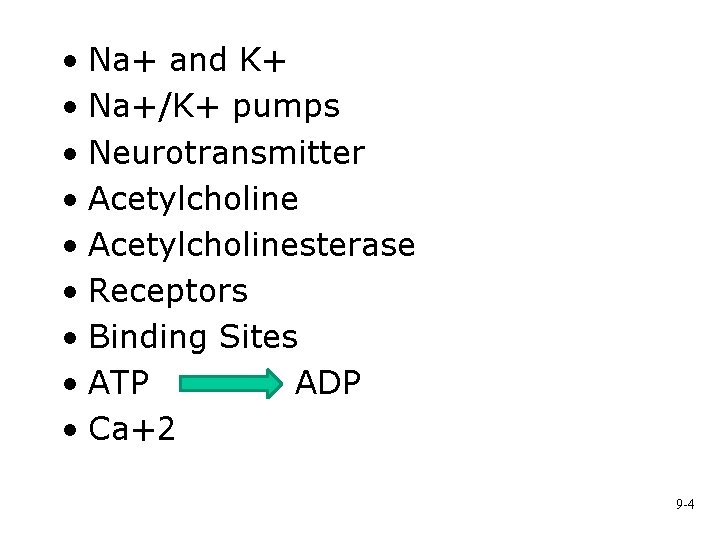  • Na+ and K+ • Na+/K+ pumps • Neurotransmitter • Acetylcholinesterase • Receptors