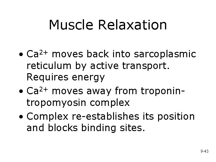 Muscle Relaxation • Ca 2+ moves back into sarcoplasmic reticulum by active transport. Requires