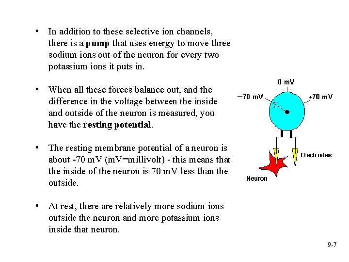  • In addition to these selective ion channels, there is a pump that