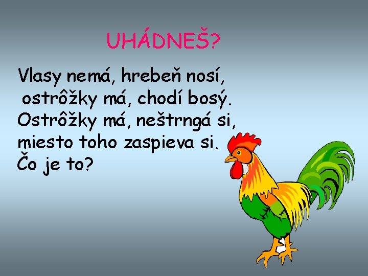 UHÁDNEŠ? Vlasy nemá, hrebeň nosí, ostrôžky má, chodí bosý. Ostrôžky má, neštrngá si, miesto