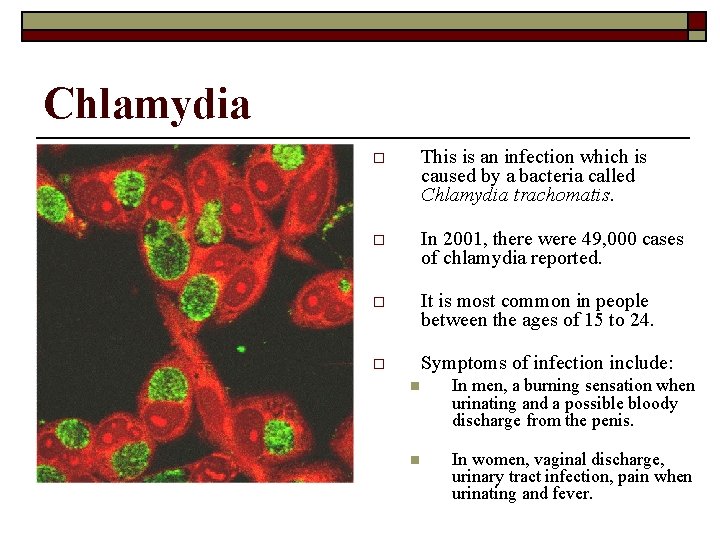 Chlamydia o This is an infection which is caused by a bacteria called Chlamydia