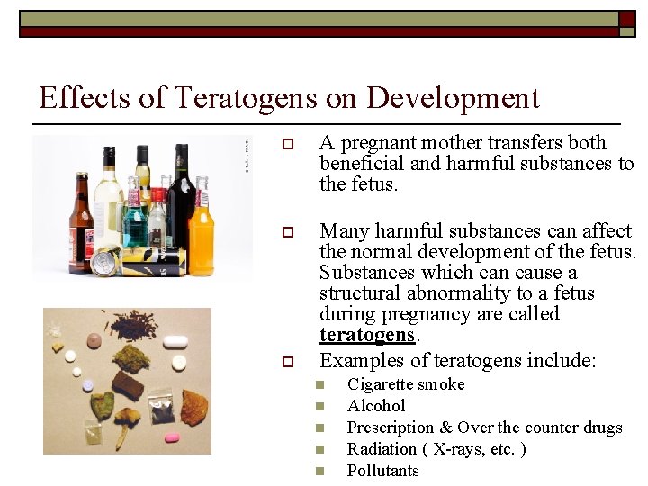 Effects of Teratogens on Development o A pregnant mother transfers both beneficial and harmful