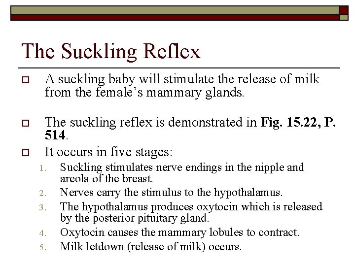 The Suckling Reflex o A suckling baby will stimulate the release of milk from