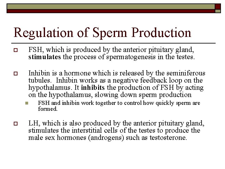 Regulation of Sperm Production o FSH, which is produced by the anterior pituitary gland,