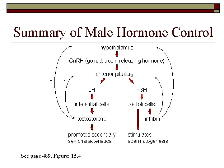 Summary of Male Hormone Control See page 489, Figure: 15. 4 
