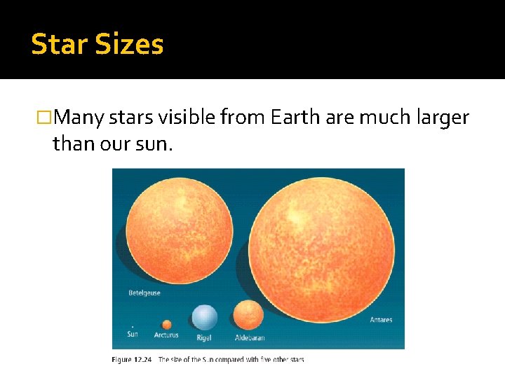 Star Sizes �Many stars visible from Earth are much larger than our sun. 