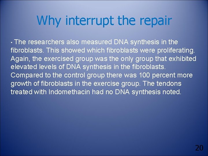 Why interrupt the repair • The researchers also measured DNA synthesis in the fibroblasts.