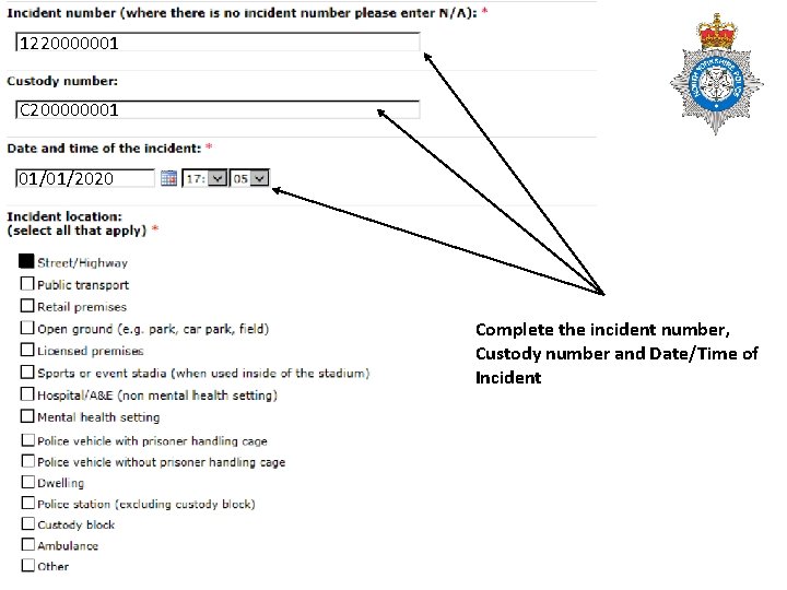 1220000001 C 200000001 01/01/2020 Complete the incident number, Custody number and Date/Time of Incident