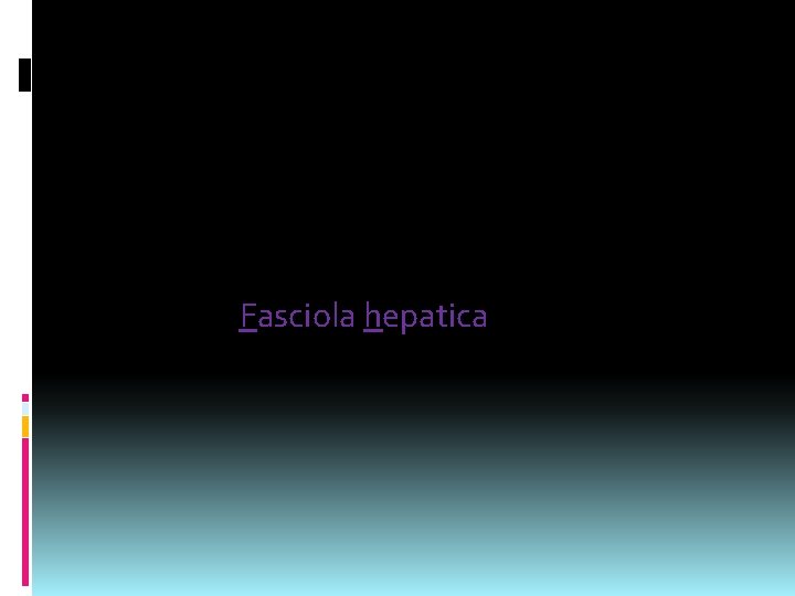 The names of the genus and species are expressed in Latin form, the generic