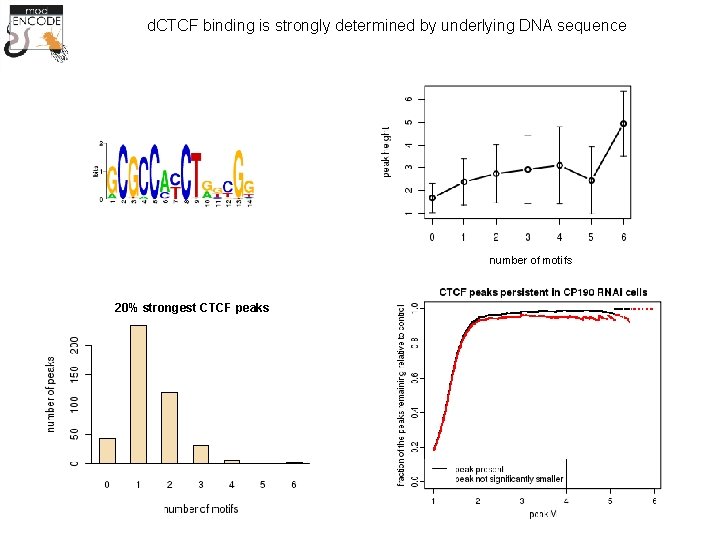 The combinatorial binding and functions of insulator proteins