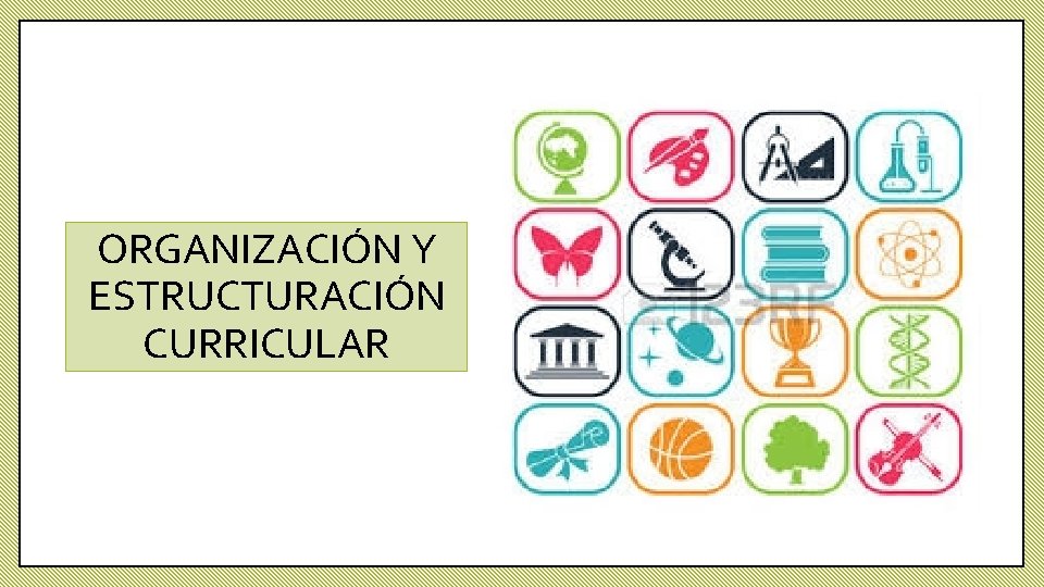 ORGANIZACIÓN Y ESTRUCTURACIÓN CURRICULAR 