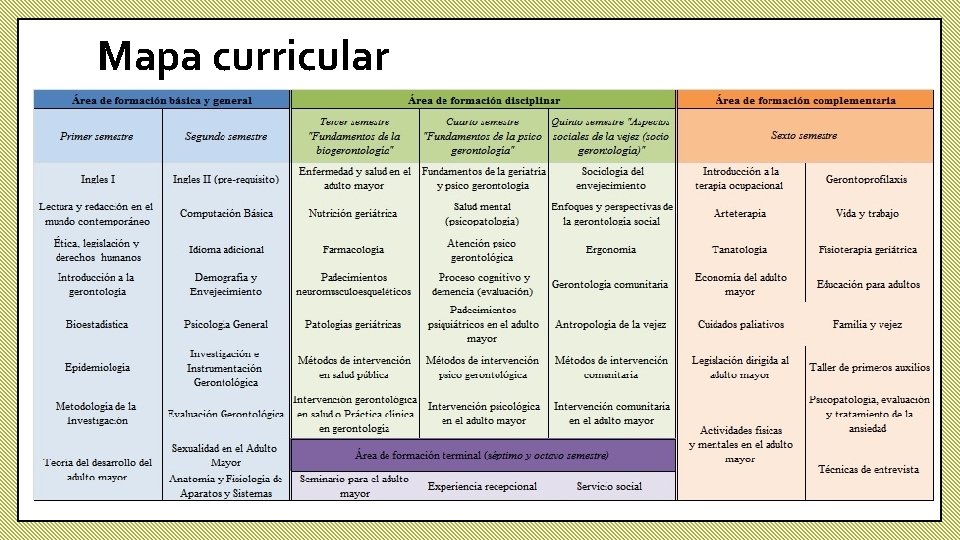 Mapa curricular 